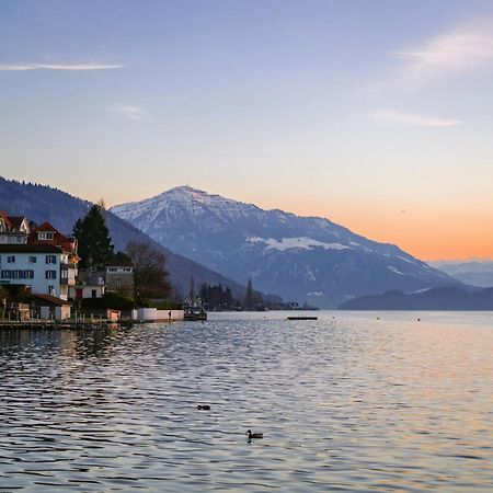 Ariser - Zug Mountain View Business Apartment Εξωτερικό φωτογραφία